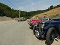 Chat. Bleu 2017_(233)